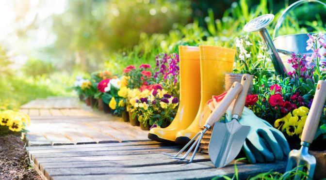 MEDICINE WHEEL: Happiness Is Colored Green – By Steve Taylor Ph.D