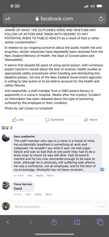 82284932_2559852517628392_4965463737319292928_n