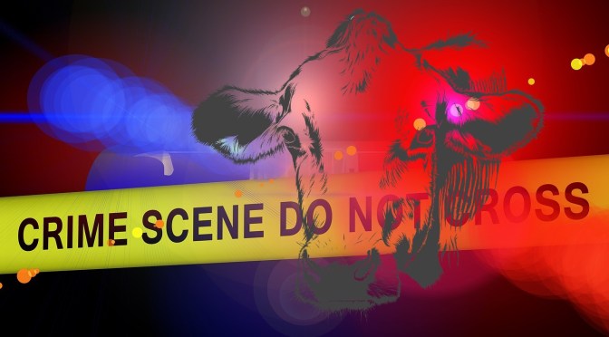 Elderly dairy farming couple who received an early morning raid by 6 MPI staff in 4 cars said they were made to feel like drug dealers