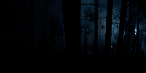 Alaska Is Number One For Missing People Never Found