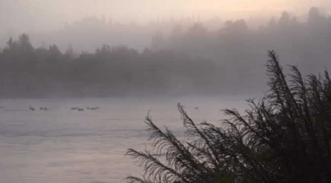 Selling our water – 427 million litres at $943 (Māori Television)