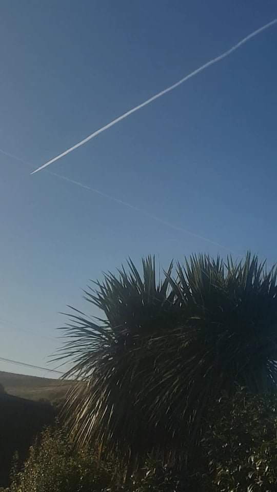 91239869_2818602178216077_6245671609969934336_n