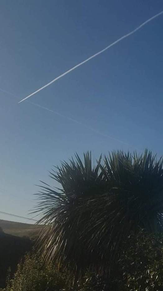 91239869_2818602178216077_6245671609969934336_n