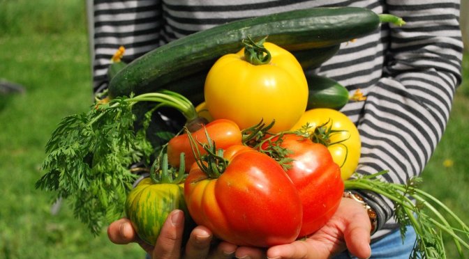 Living Off Your Own Garden For Beginners