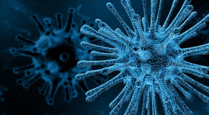 Hear from a molecular biologist on the topic of viruses