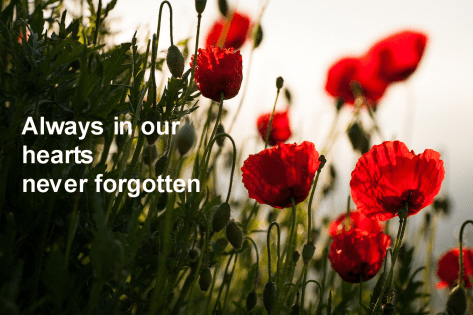 Copy of flowers-3506805_1280