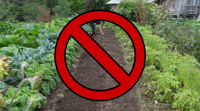 In New Zealand in some regions it is illegal to plant new ground in vegetables