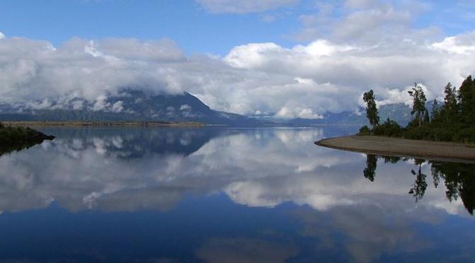 DoC’s been doubling down on their Sth. Is. 1080 poisoning operations-Jacinda’s magic money tree?