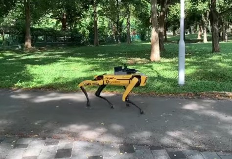robot dog