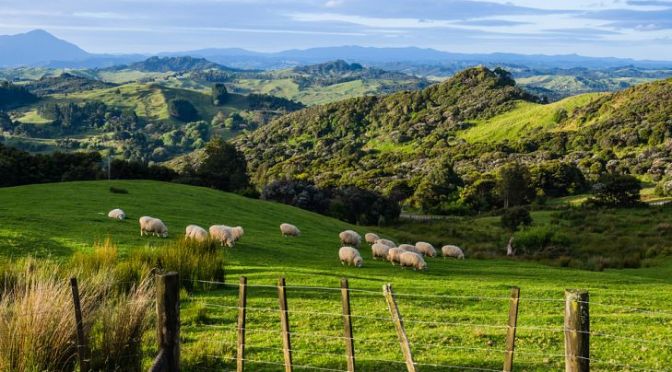 The NZ Government’s Strategy to Destroy the Farming Sector