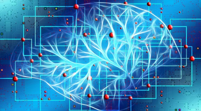 What ‘they’ have planned for your future ?