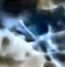 Breathtaking: Case Closed, Infrared Video Reveals Details of Israeli Nuclear Missile