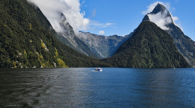 Is NZ a test case for the world?