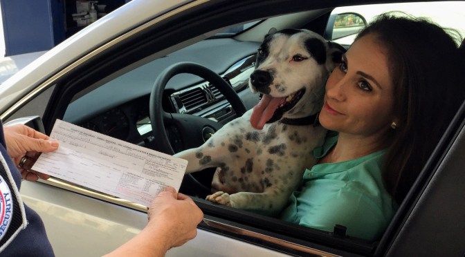 Ireland – ‘People with vaccine certificates to face fewer restrictions on life’ (right on cue)