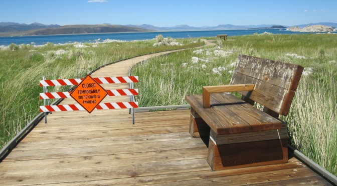 Mainstream NZ is now reassuring us there is no imminent lockdown (in spite of hints otherwise for at least a week now)