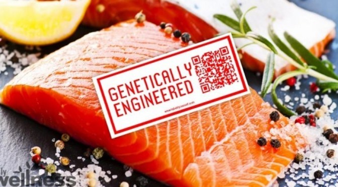 Largest US Retailers Refusing to Sell FDA-Approved GMO Salmon