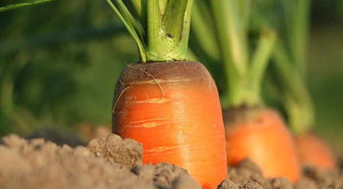 4 UNEXPECTED benefits of eating carrots