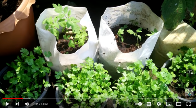 5 Ways to QUICKLY become More Self Sufficient