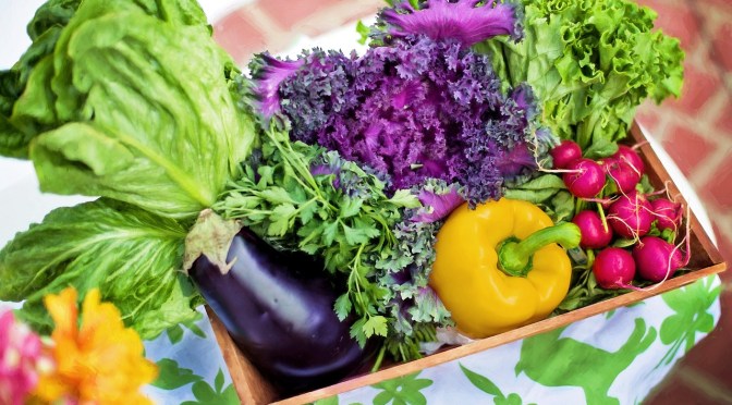 Eating organic helps kids score higher on cognitive tests, according to study