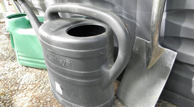 Gardening tasks for December (Wally Richards)