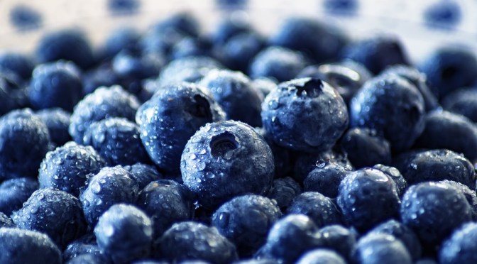 Why you should EAT MORE BLUEBERRIES