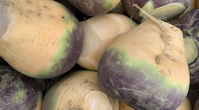 The health benefits of Swedes aka Rutabagas