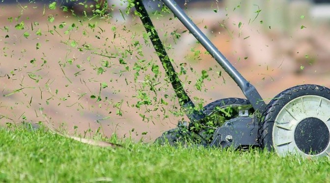 Dealing to those dry patches in your lawn (Wally Richards)