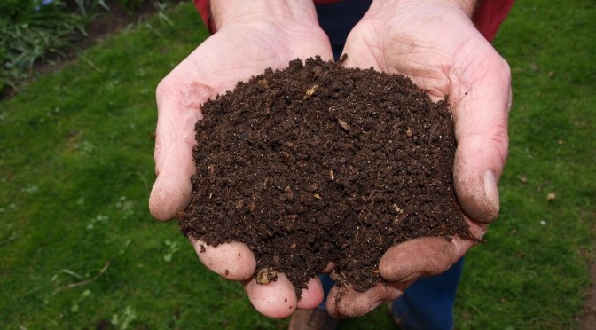 6 Different Ways To Compost, No Matter Where You Live