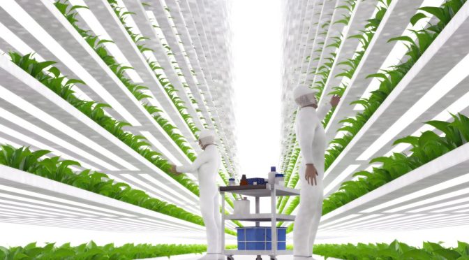 NEW Controlled Food System Is Now In Place And They Will Stop At Nothing To Accelerate Their Control