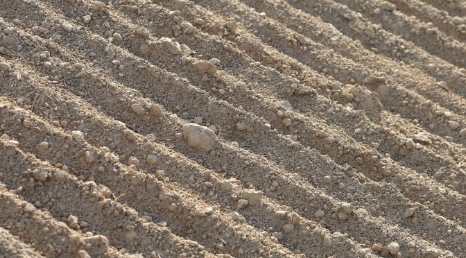 Food Supply Shutdown:  Deer, fish, pigs euthanized; crops not planted (Ice Age Farmer)