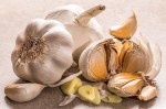 growing garlic