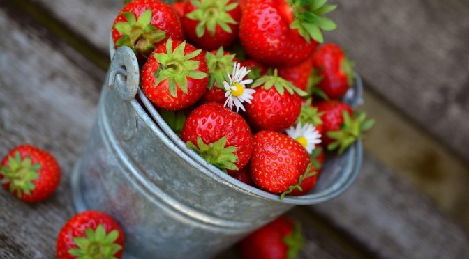 Time to plant new season’s strawberries (Wally Richards)