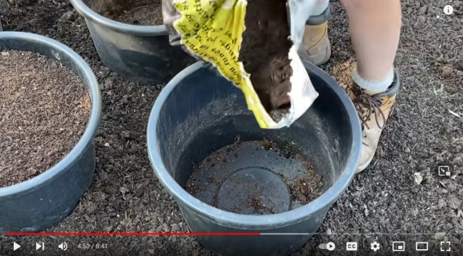 ALL OF US CAN GROW FOOD IN CONTAINERS
