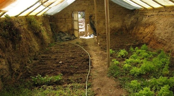 GROW YEAR ROUND WITH AN UNDERGROUND GREENHOUSE