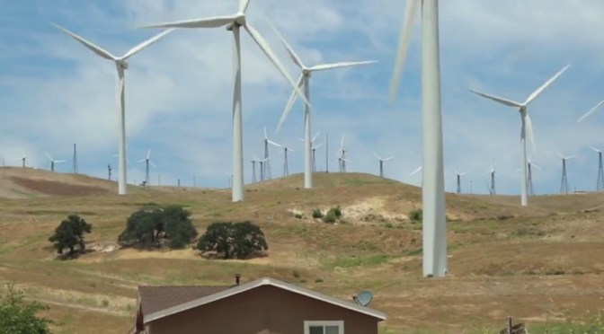 Bright Green Lies (Environmental Doco)