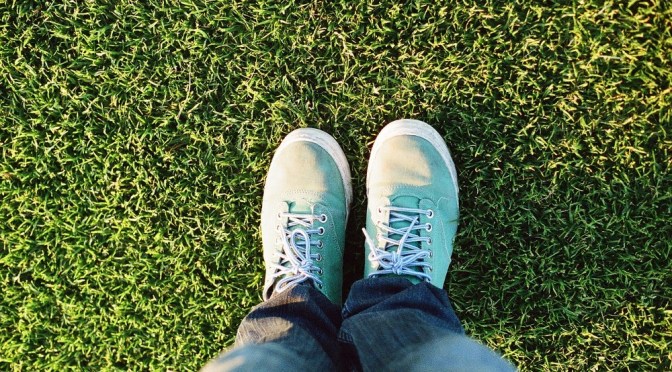 Dealing with pests in your lawn (Wally Richards)