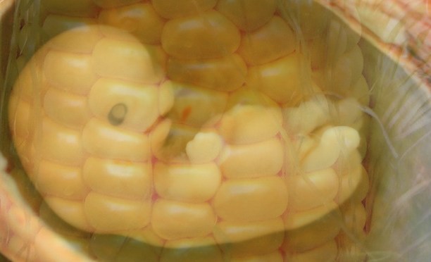 Biotech’s Dark Promise: Involuntary Cannibalism for All