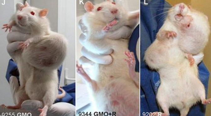 The dark history of the Monsanto Corporation Part 2 (think ‘Roundup’)