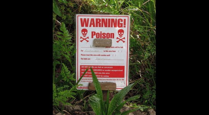 There’s an Even Worse Poison than 1080 – It’s Brodifacoum