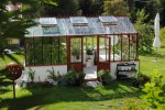 greenhouse with plants in it