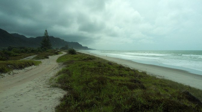 Matata existing use rights cull one step closer after Bay of Plenty Regional Council decision – another Agenda 21/30 land grab?