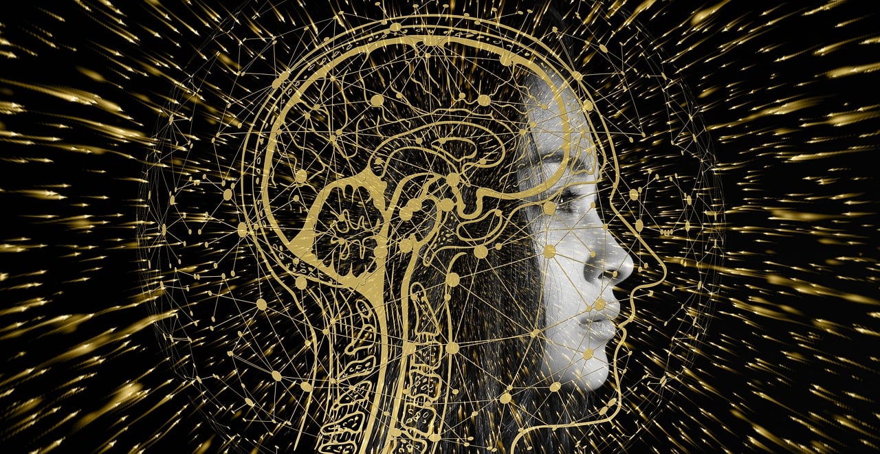 person with brain diagram side view