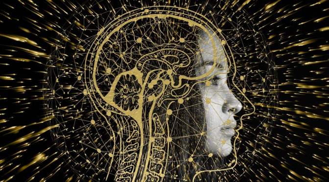 “The thing that people, I think, don’t appreciate right now is that they are already a cyborg” Elon Musk