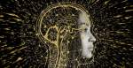 person with brain diagram side view