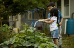 two children watering the vegetable garden