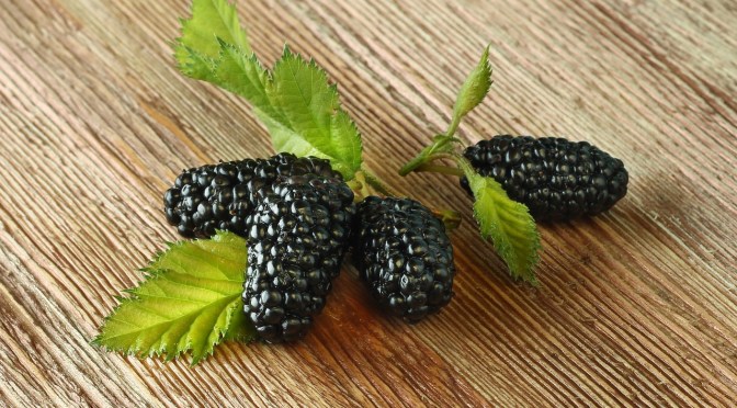 Eat More Purple Foods for Cancer Prevention and a Healthier Gut and Heart