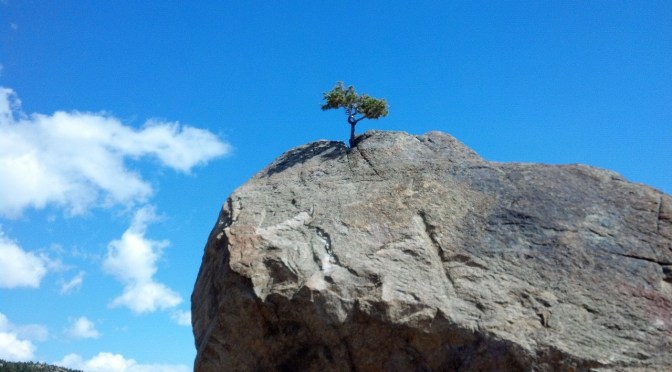 Courage Under Fire (About NZ’s Data Analyst-Whistleblower)