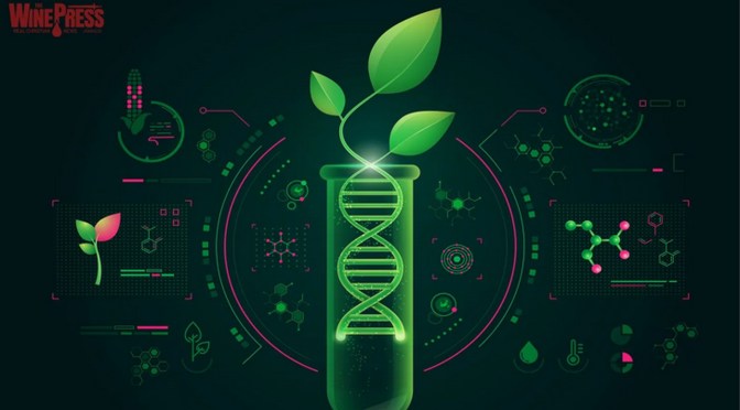 Scientists Are Developing mRNA Foods To Replace Injections (in case you plan on declining)