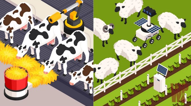 In 2021 the WHO Released a New Panel To Help Prevent Future Pandemics By Mitigating Farms