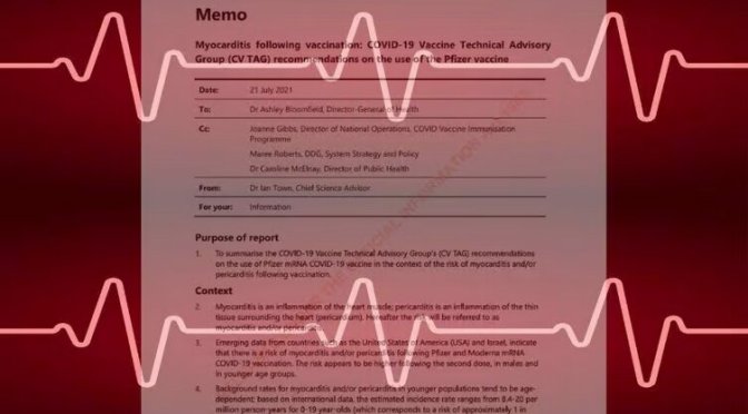 Report with lines on it from nzdsos doctors nz